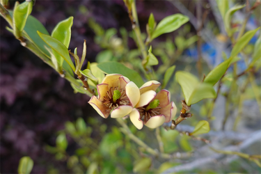 DSC06824_R