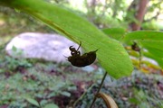 DSCF5145_R