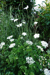 DSC06797_R