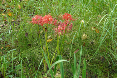 DSC09976_R