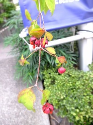 DSCF6207_R