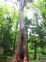 DSCF0939_R