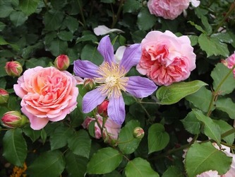 DSCF0280_R