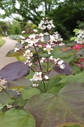 DSCF2552_R
