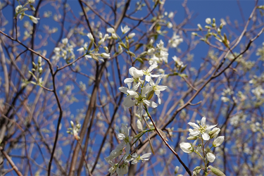DSC06464_R