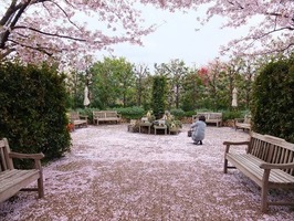DSCF8316_R