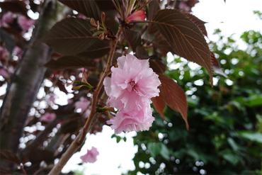 DSC06944_R