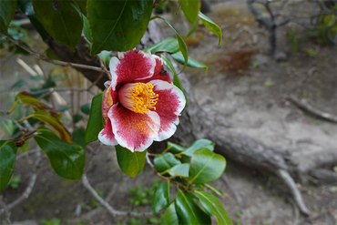 DSC05804_R