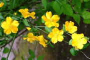 DSCF1272_R