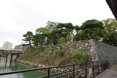 DSC09573_R