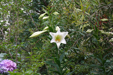 DSC08308_R