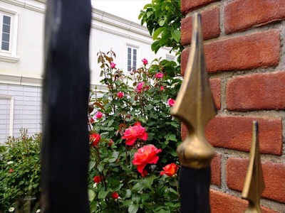DSCF2773_R