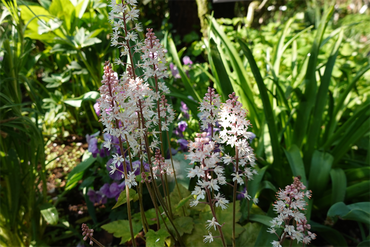 DSC06374_R