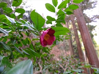 DSCF7762_R