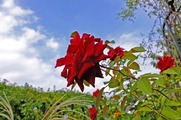 DSCF5844_R