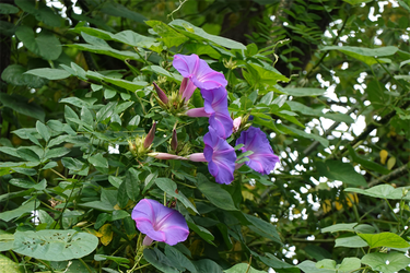 DSC08111_R
