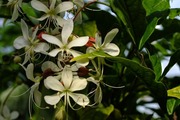 DSCF9071_R