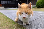 DSCF2262_R