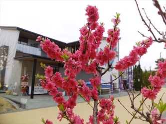 DSCF8598_R
