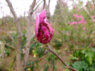 DSCF1470_R