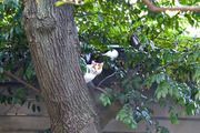 DSCF8624_R