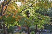 DSCF7938_R