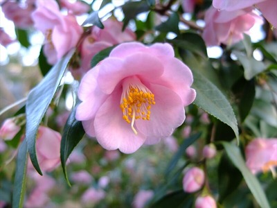 DSCF4709_R