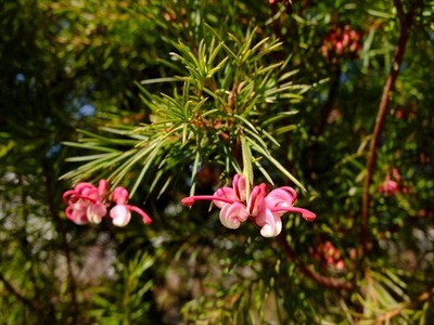 DSCF6889_R