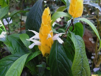 DSCF9284_R