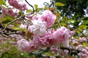 DSCF2576_R