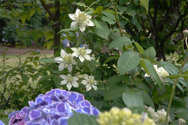 DSC08351_R