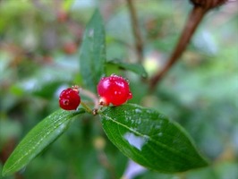 DSCF3401_R