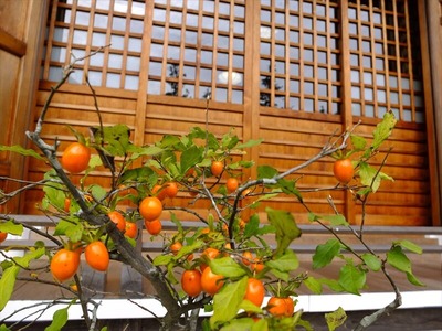 DSCF9020_R