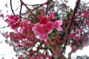 DSCF1540_R