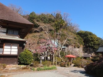 DSCF8415_R