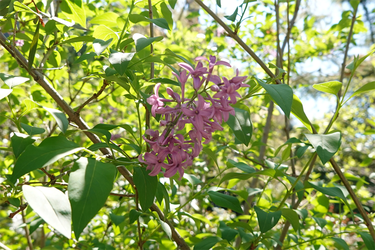 DSC06646 (1)_R