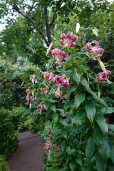 DSC03203_R