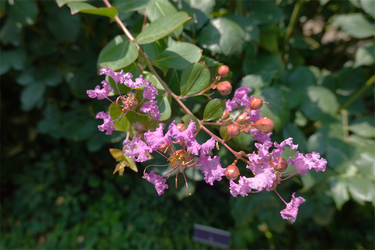 DSC08783_R