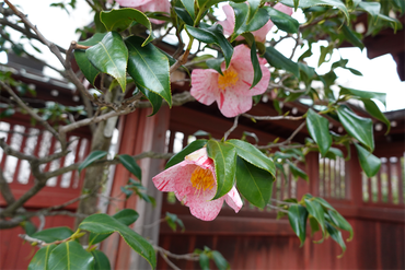 DSC05784_R