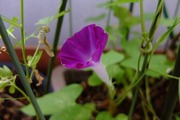 DSCF4849_R