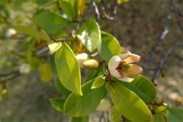 DSC07176_R