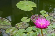 DSCF2703_R