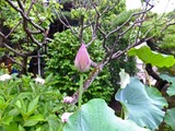 DSCF2672_R