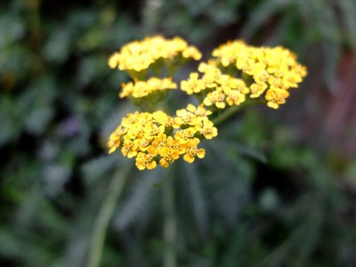 DSCF7411_R