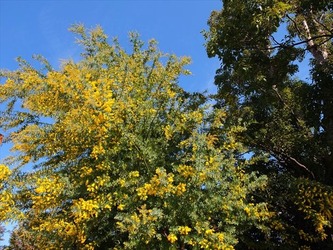 DSCF6865_R