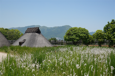 DSC07980_R