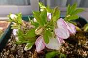 DSCF0990_R