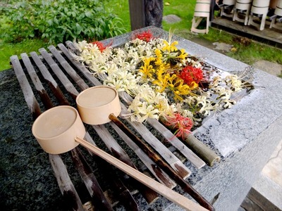 DSCF5594_R