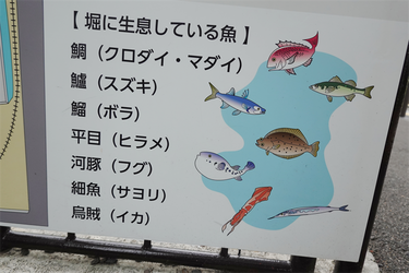 DSC09575_R