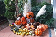 DSCF6339_R